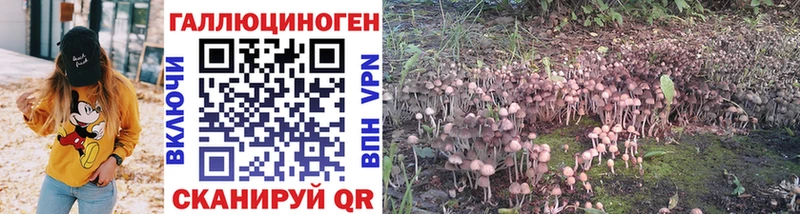 Галлюциногенные грибы мухоморы  где найти наркотики  Верхняя Пышма 