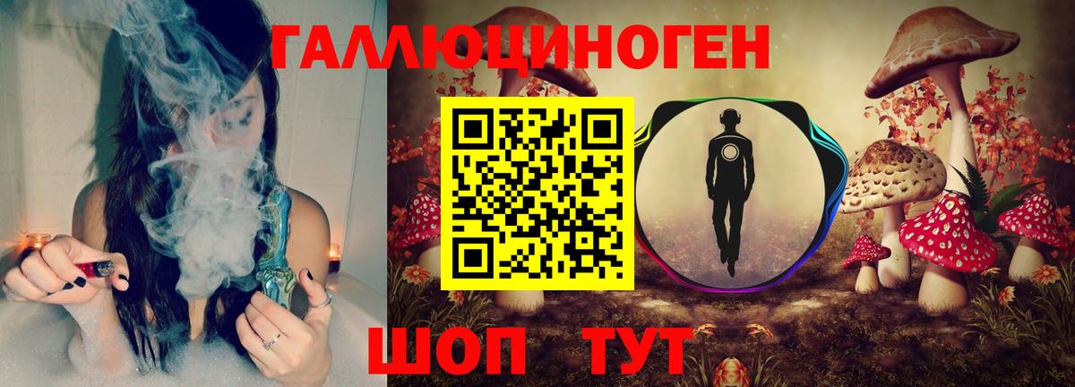 Галлюциногенные грибы Psilocybine cubensis  Псилоцибиновые грибы мухоморы  Верхняя Пышма  где найти   Вход с VPN 