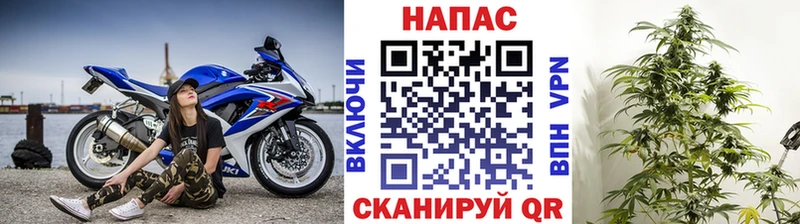 кракен маркетплейс  Верхняя Пышма  Бошки марихуана конопля 
