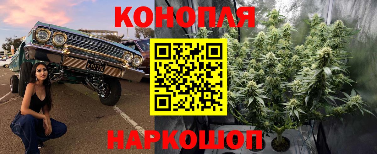Канабис Ganja  Вход с VPN  Канабис LSD WEED  Верхняя Пышма  Бошки марихуана гибрид 